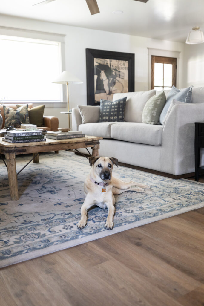 Barrier-free living room featuring a transfer-height gray sofa, rustic accessible coffee table, and a blue patterned rug with a dog resting in the space.